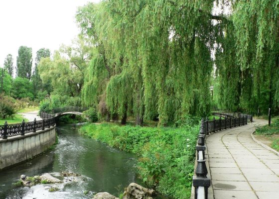 Crimea_park.jpg Crimea_park.jpg